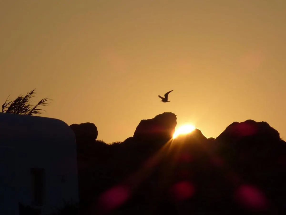 Tatil Evi Terra Rock Villa Super Paradise Beach